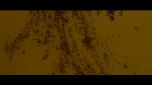 Моторное масло Lukoil Genesis Armortech