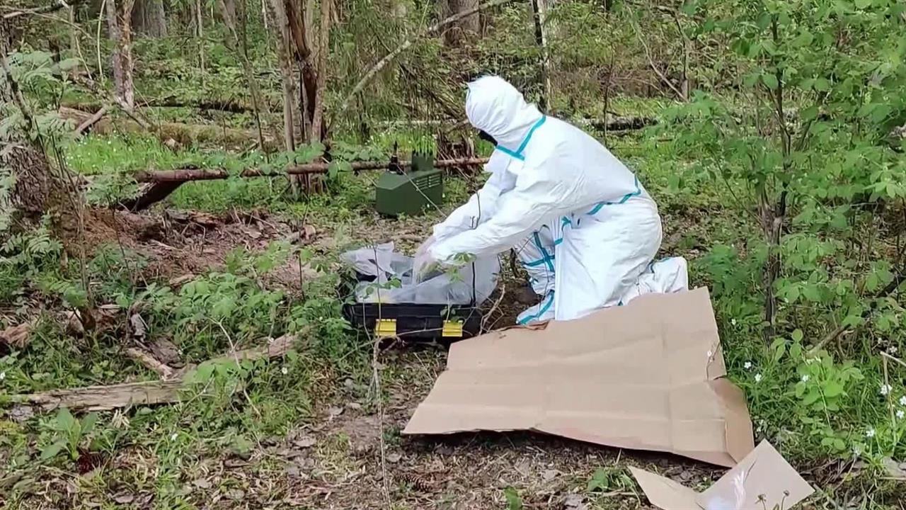 ФСБ опубликовала видео показаний фигурантов дела о попытке подрыва опор ЛЭП Ленинградской АЭС