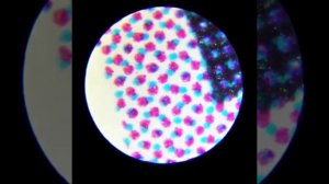 Карманный микроскоп