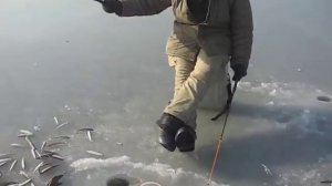 Smelt ice fishing (Russia, Far East, Vladivostok)