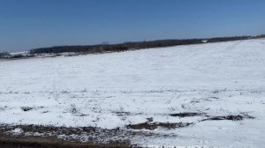 Металлокоп 2022