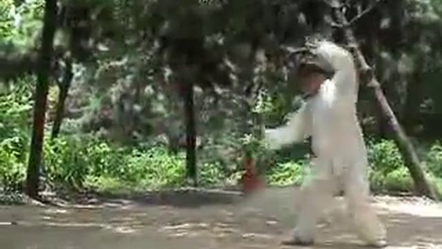 Гоуляньцян (Серповидное копье).flv смотреть онлайн