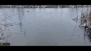 Кораблик 17000р на Воронеж Декабрь 2023