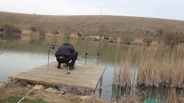 Рыбалка весной 2024 в Крыму,водоем Золотой ключ #капрп#рыбалка#ловлякарпа#