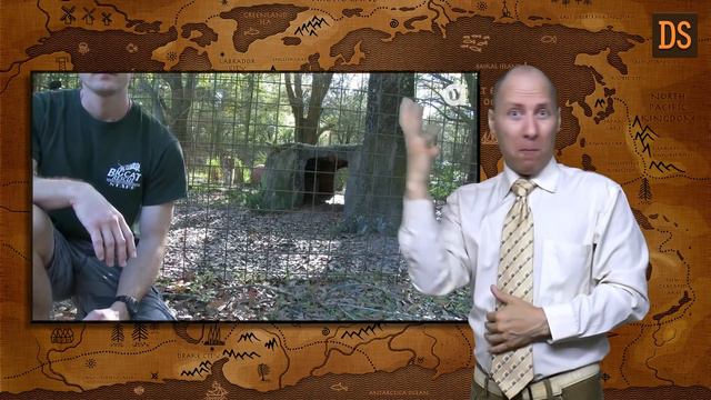 Почему нельзя поворачиваться спиной к тигру ЖЯ смотреть онлайн