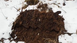 КОП НА УРОЧИЩАХ УДИНА И МЕДВЕЖЬЕ НА Р. НЕРЛЬ (ЯНВАРЬ И ПОЛУПОЛТИННИК)