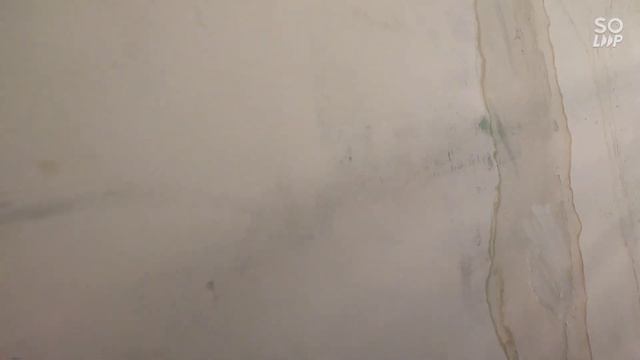 плесень и грибок на стенах что делать смотреть онлайн