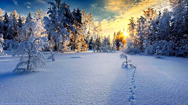 Зима Красавица! Winter is a Beauty! Зимний Лес - Страна Чудес!!! Зимняя Волшебная Сказка!