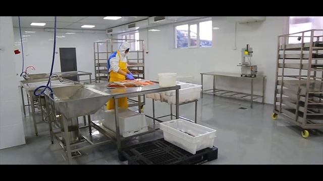 Переработка форели в хозяйстве "Эфтар" смотреть онлайн
