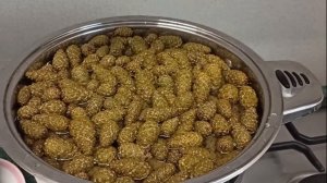 Варенье из сосновых шишек (новый рецепт)