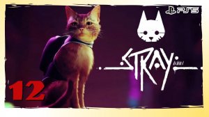 Прохождение Stray (PS5) - Часть 12