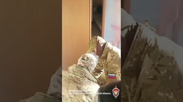 Задержание банды страховых мошенников