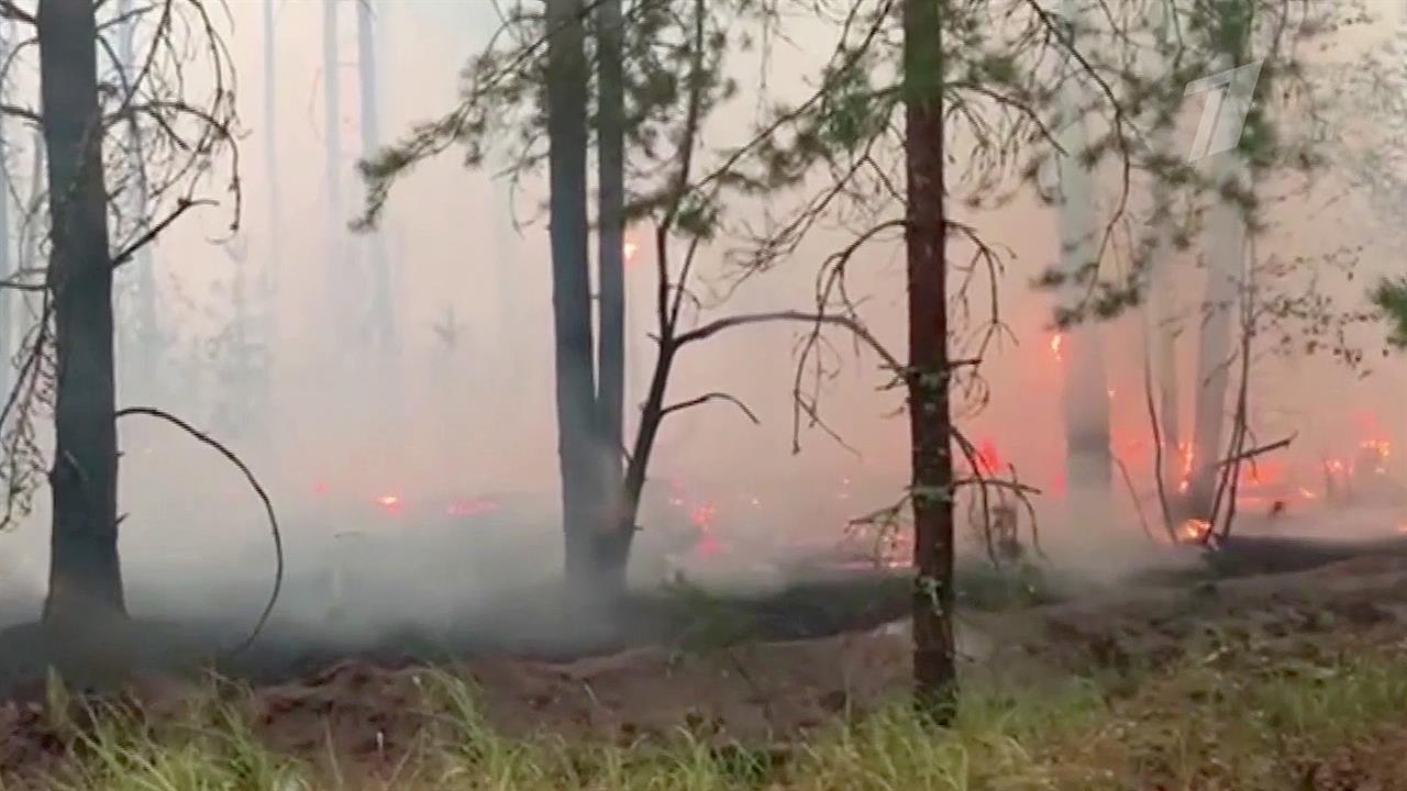 пожар в ветреную погоду. пожароопасный период курган. пожар в большом селе. весенние пожары. пожар в ветреную погоду.