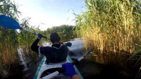 Архипелаг О 2018 "Двое без плавок"