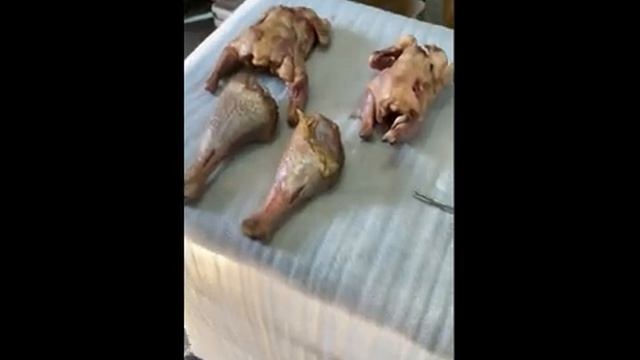 Курица холодного копчения электростатическая коптильня