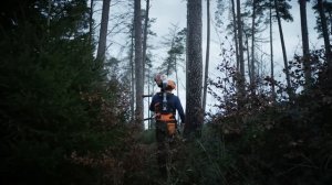 STIHL ADVANCE X-TREEm | Forestry harness with adjustable back | That's Why