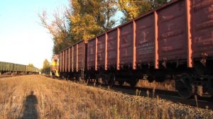 Тепловоз ТГМ23-3347