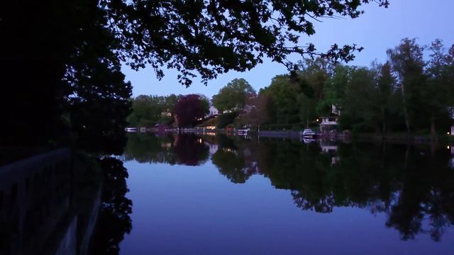 Летучие мыши смотреть онлайн