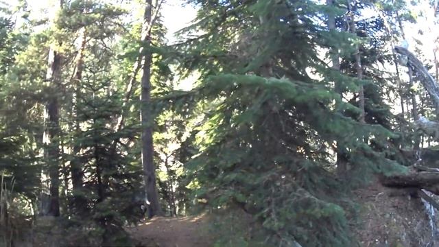 Карча Тёбе смотреть онлайн