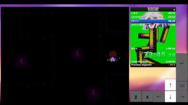 Undertale - Genocide Speedrun 1:07:30 смотреть онлайн