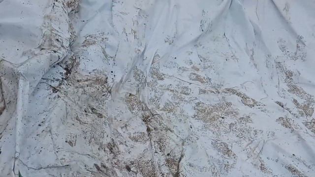 Пруд своими руками. Экопруд. Пруд из баннера. Биоплато.
