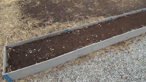 50 Высокая грядка из шифера спустя год (отзыв)