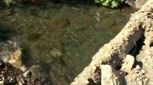 Рыбалка на сахалине.