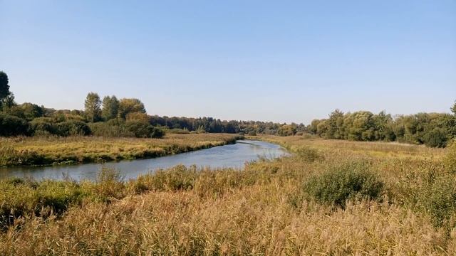СЕБЕСТОИМОСТЬ ТОВАРОВ, ДЕНЬГИ, ЦЕНА, ПРИБЫЛЬ, МАРКЕТИНГ, РЕКЛАМА, ОБМАН, ЛОЖЬ, АЛЧНОСТЬ, РЕАЛЬНОСТЬ