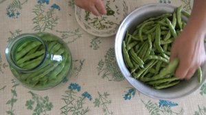 Засолка стручков фасоли, спаржи. Удобный способ. Стручковая зеленая фасоль на зиму без стерилизации