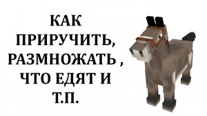 Как приручить осла в майнкрафте? Как размножать ослов в майнкрафт? Что едят ослы в майнкрафте?