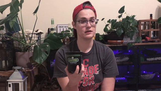 String of Pearls- Curio Rowleyanus AKA Senecio Rowleyanus смотреть онлайн