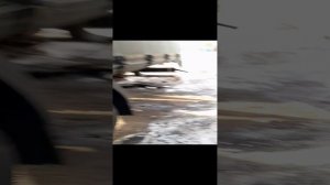 Хлам Камаз или водитель свинья ?
