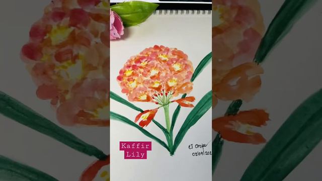 Kaffir Lily #short #satisfying