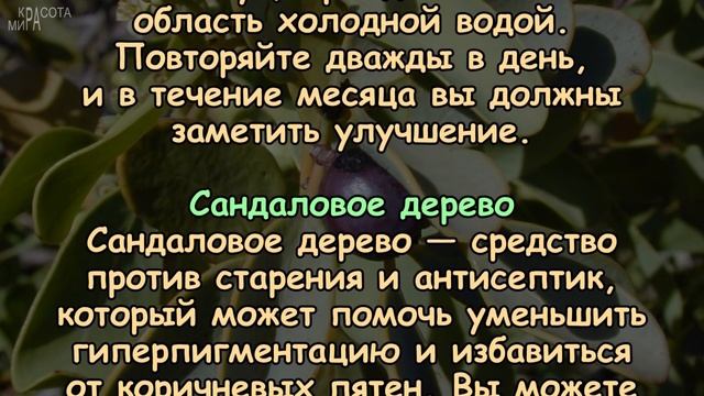 ИЗБАВЬТЕСЬ от ТЁМНЫХ ПЯТЕН с помощью 5 продуктов смотреть онлайн