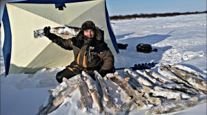 рыбалка в ТУНДРЕ, на МНОГОРАЗОВЫХ ЖИВЦОВ!? Щучий БЕСПРЕДЕЛ !!! Подготовка к НОЧЁВКЕ в ШТОРМ! часть 1