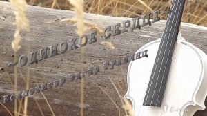 ОДИНОКОЕ СЕРДЦЕ*