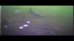 Плюсы и минусы подводной камеры Fishcam Plus 750 DVR