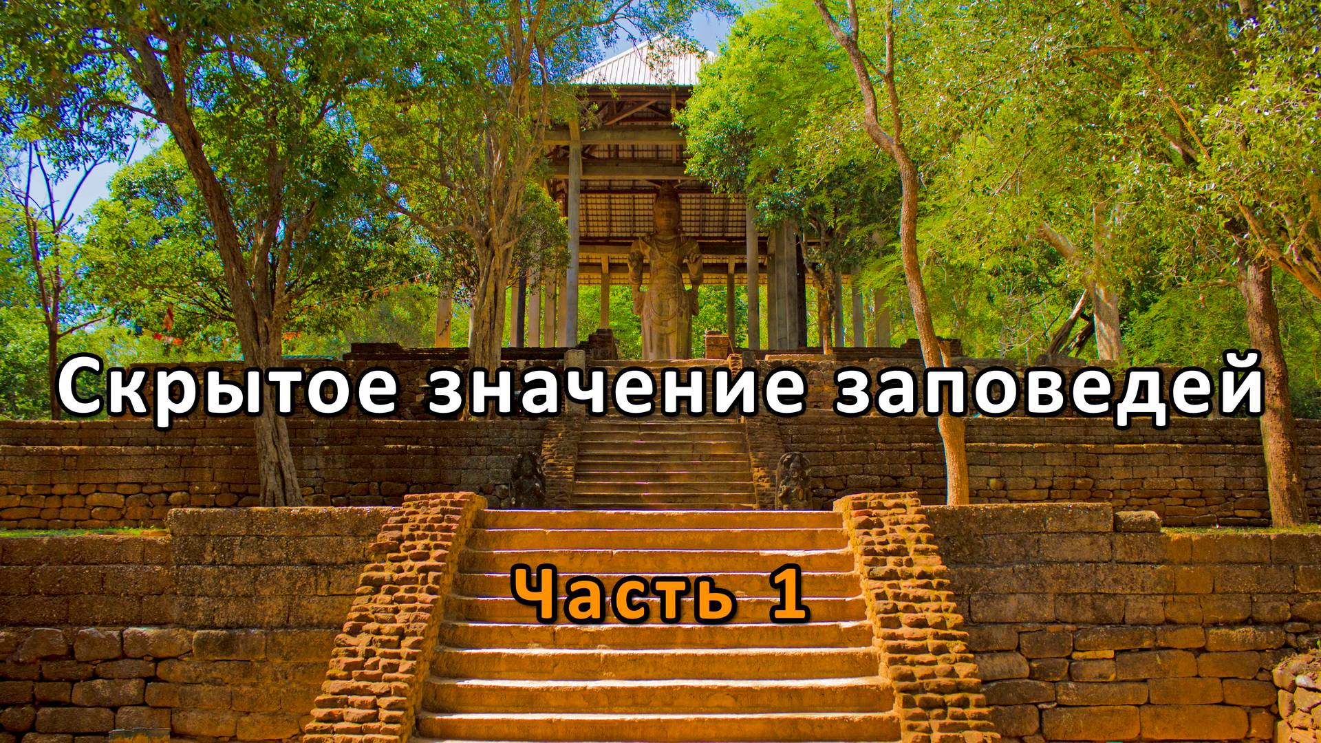 Скрытое значение заповедей. Часть 1