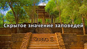 Скрытое значение заповедей. Часть 1