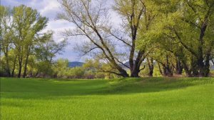 Сельская песня ("Травка зеленеет, солнышко блестит"), Плещеев А.