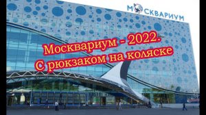 Москвариум  - 2022. С рюкзаком на коляске