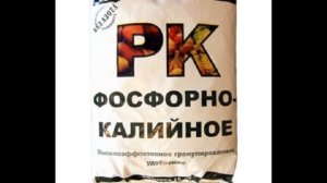 Осенняя подкормка плодовых деревьев и кустарников.