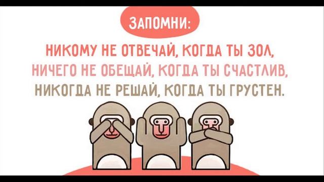 Нержавеющая мудрость смотреть онлайн