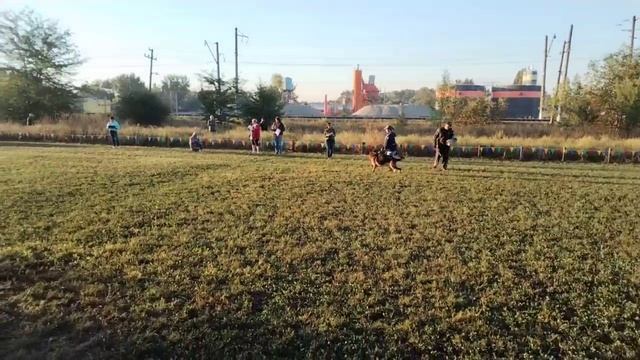 Дискв.   Тайм Сарынь ПОНТИЙ ПИЛАТ (Тайм Сарынь Оптимус Прайм – Тайм Сарынь Устинья) 31