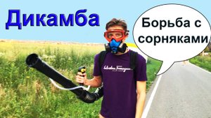 Гербициды по бурьяну перед посадкой чеснока