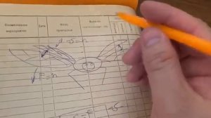 Как летают жуки и шмели разные принципы полета