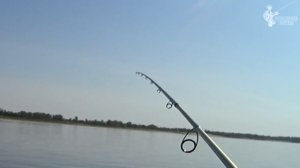 И ВОТ КАК ДОСТАТЬ ЭТО ЧУДОВИЩЕ? Обзор спиннинга Graphiteleader Vivo Nuovo GNOVS-802M