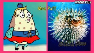 SpongeBob SquarePants In Real Life ?@WANAPlus