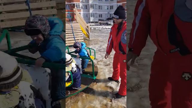 Далматинец,как человеческий ребенок,на каруселях(2)