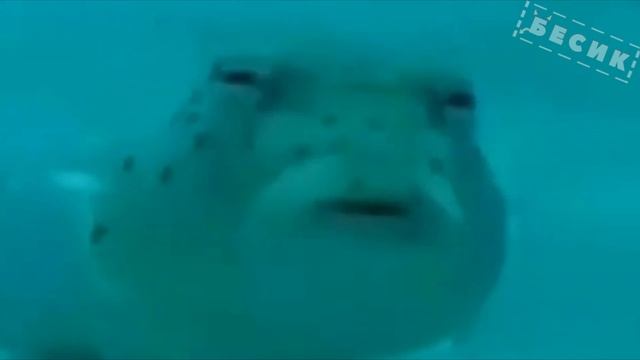 ЗВЁЗДНОЕ ДИТЯ ОБЗОР АНИМЕ смотреть онлайн